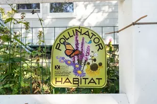 126 Harvey St, Cambridge, MA 02140 - Photo 18