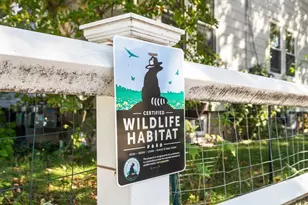 126 Harvey St, Cambridge, MA 02140 - Photo 20