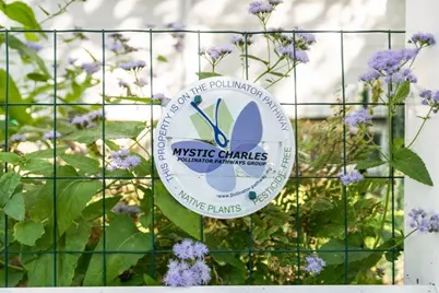 126 Harvey St #2, Cambridge, MA 02140 - Photo 20