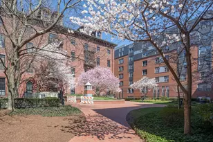 21 Father Francis Gilday St, Boston, MA 02118 - Photo 22