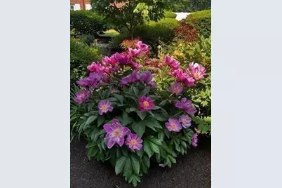 15 Cass Street #3, Boston, MA 02132 - Photo 20