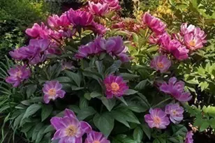 15 Cass St, Boston, MA 02132 - Photo 20