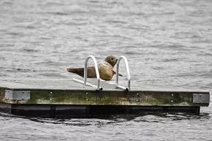 27 Rivercrest Dr, West Newbury, MA 01985 - Photo 10