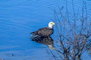 27 Rivercrest Dr, West Newbury, MA 01985 - Photo 42