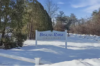 12 Basking Ridge #12, Middleborough, MA 02346 - Photo 24