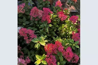 120 Polley Lane, Walpole, MA 02032 - Photo 4