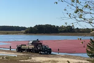 102 Maple Springs Rd, Wareham, MA 02571 - Photo 40