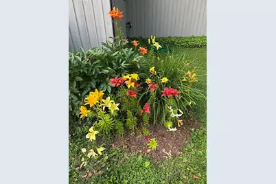 1114 S East St, Amherst, MA 01002 - Photo 38