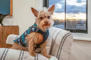 34 Vinton St, Boston, MA 02127 - Photo 20