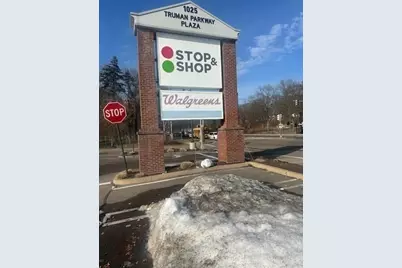 31 Badger Rd, Boston, MA 02136 - Photo 16