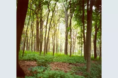 Lot 1 Winterberry Ln, Easton, MA 02256 - Photo 2