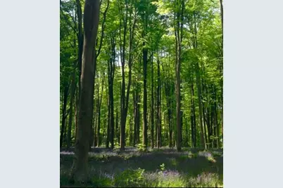 Lot 2 Winterberry Ln, Easton, MA 02256 - Photo 2