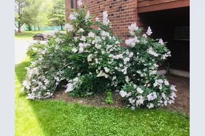 15 Davis Rd #B11, Acton, MA 01720 - Photo 16