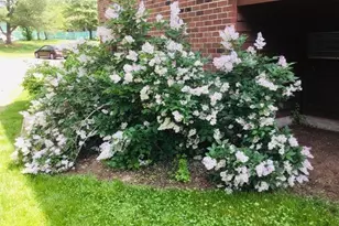 15 Davis Rd, Acton, MA 01720 - Photo 16