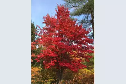 43 Greenville Rd, Townsend, MA 01474 - Photo 40