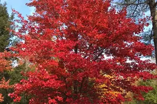 43 Greenville Rd, Townsend, MA 01474 - Photo 40