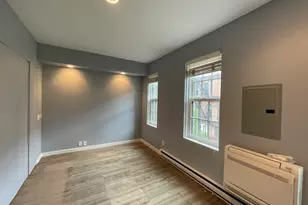 33 Lawrence St, Boston, MA 02116 - Photo 28