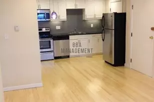 11 Commonwealth Ct, Boston, MA 02135 - Photo 2