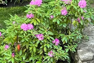 32 Crestwood Dr, Southbridge, MA 01550 - Photo 32