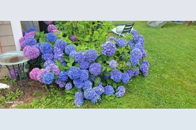 125 Stackhouse Street, Dartmouth, MA 02747 - Photo 26