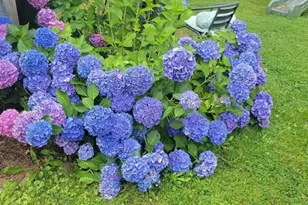 125 Stackhouse St, Dartmouth, MA 02747 - Photo 26