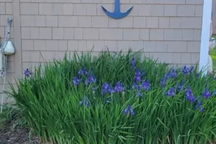 125 Stackhouse St, Dartmouth, MA 02747 - Photo 20