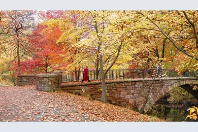 386 Riverway #4, Boston, MA 02115 - Photo 24