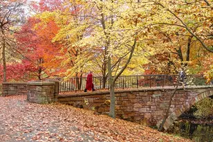 386 Riverway, Boston, MA 02115 - Photo 24