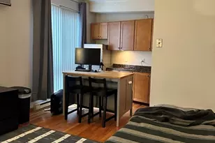 12 Stoneholm St, Boston, MA 02155 - Photo 2