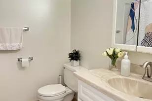 59 Village Brook Ln, Natick, MA 01760 - Photo 10