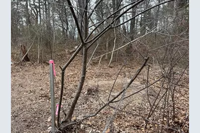 31 Hazel Lane, Brewster, MA 02631 - Photo 14