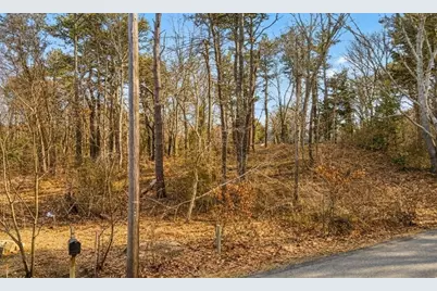 31 Hazel Lane, Brewster, MA 02631 - Photo 2