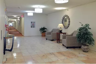 250 Hammond Pond Parkway #514N, Newton, MA 02467 - Photo 6