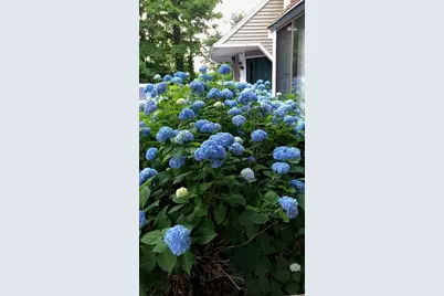 45 Lakeside Ave #31, Marlborough, MA 01752 - Photo 34