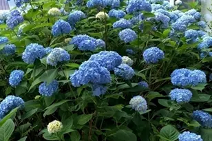 45 Lakeside Ave, Marlborough, MA 01752 - Photo 34