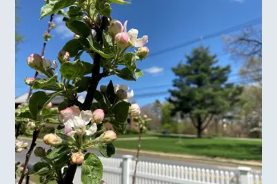 707 South Street, Waltham, MA 02453 - Photo 30