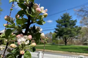 707 South St, Waltham, MA 02453 - Photo 30