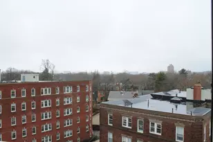 29 Concord Ave, Cambridge, MA 02138 - Photo 10