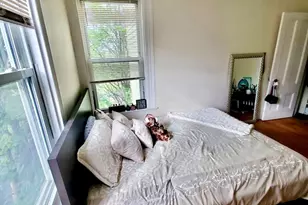 40 Forest St, Boston, MA 02119 - Photo 22