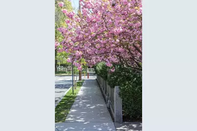 157 Brattle Street, Cambridge, MA 02138 - Photo 24