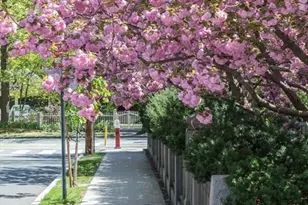 157 Brattle St, Cambridge, MA 02138 - Photo 24