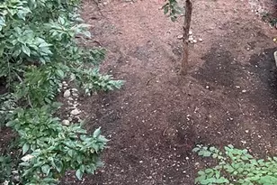 112 Franklin, Brookline, MA 02445 - Photo 22