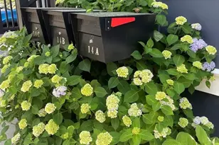 14 Carlton St, Somerville, MA 02143 - Photo 36