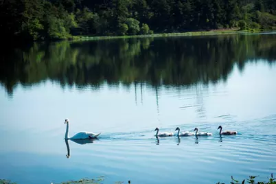 3 Daisy Ln, Plymouth, MA 02360 - Photo 30