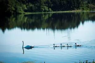 3 Daisy Ln, Plymouth, MA 02360 - Photo 30