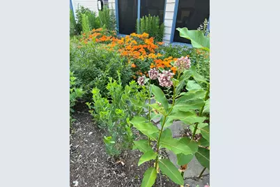 70 Ardsmoor Rd, Melrose, MA 02176 - Photo 40