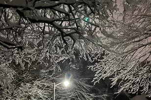 47 Park St, Shrewsbury, MA 01545 - Photo 4