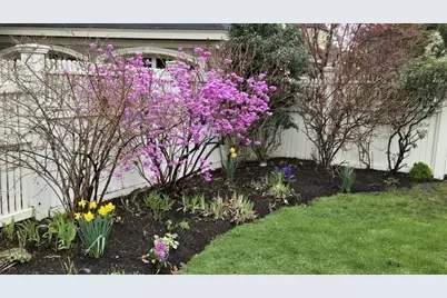 12 Bigelow Cir #2, Boston, MA 02135 - Photo 36