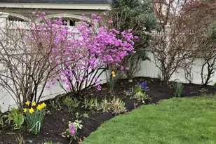 12 Bigelow Cir, Boston, MA 02135 - Photo 36