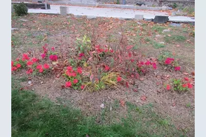 351 Plantation St, Worcester, MA 01604 - Photo 20